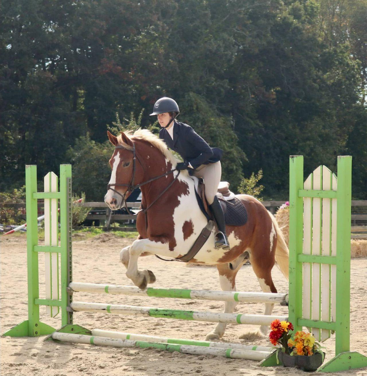 Equestrian Photo Album