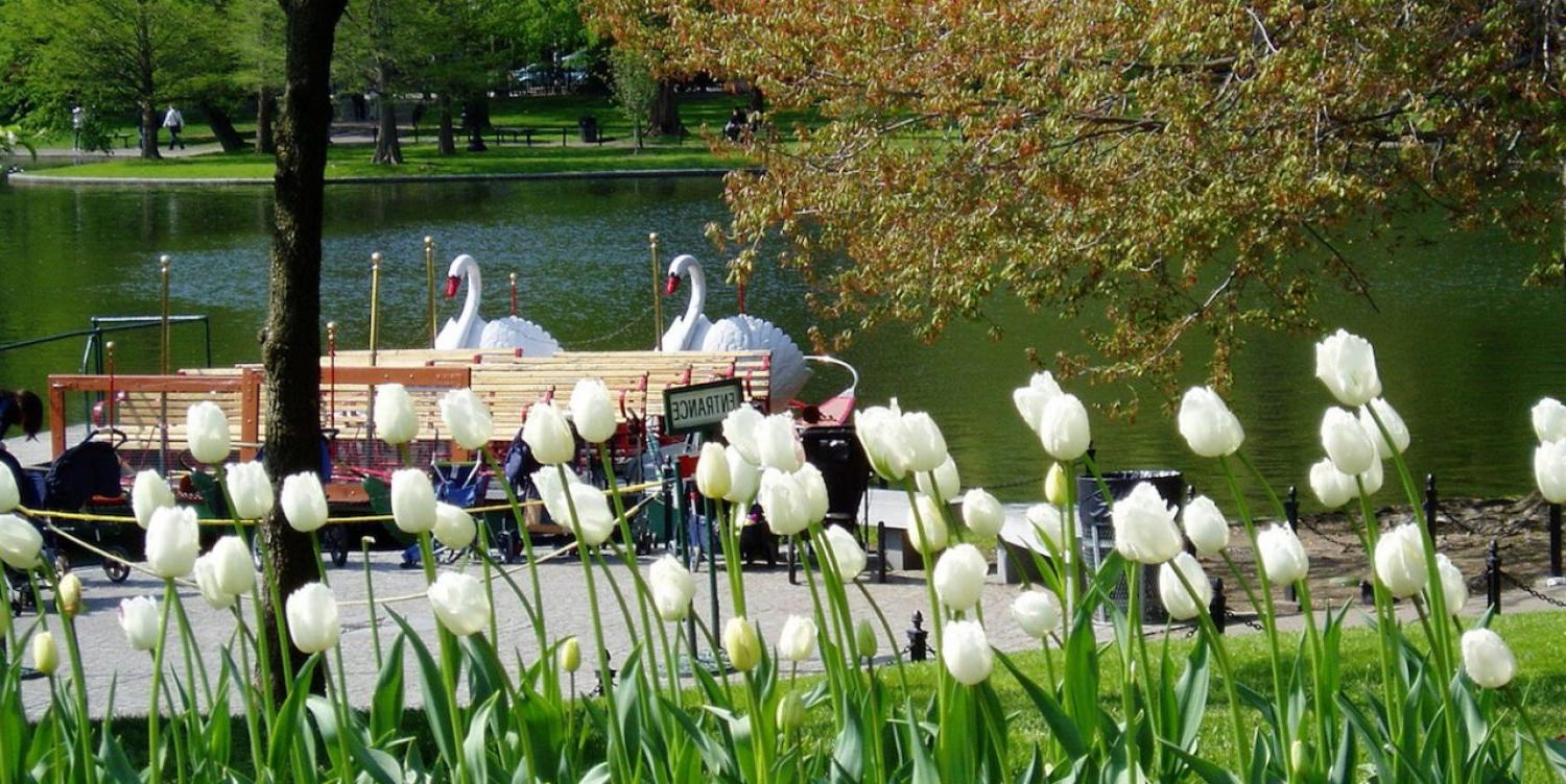 Boston Public Garden