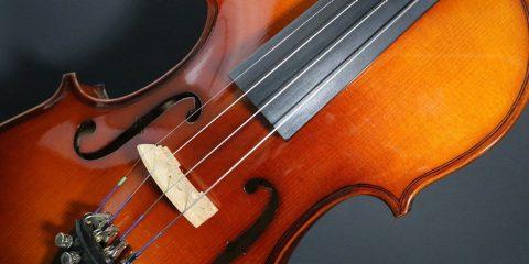 violin