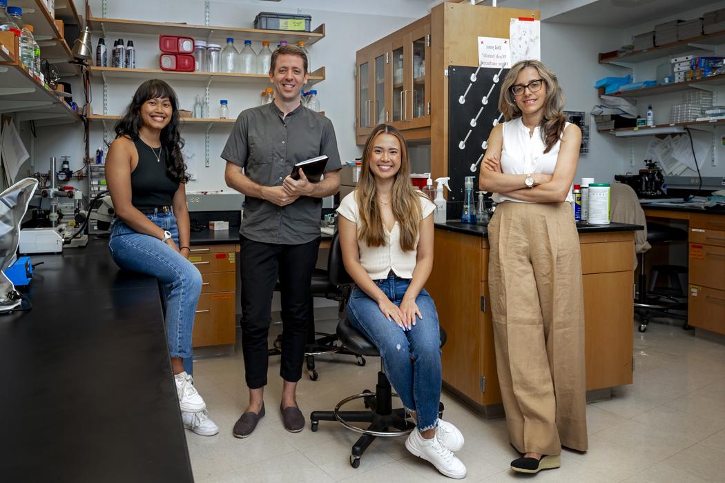 Four researchers in a lab